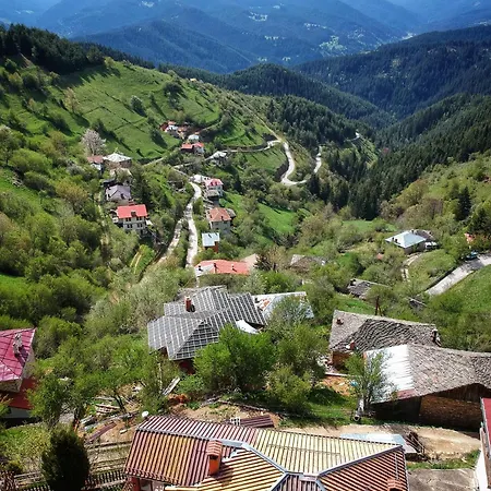 Vakantiehuis зора *